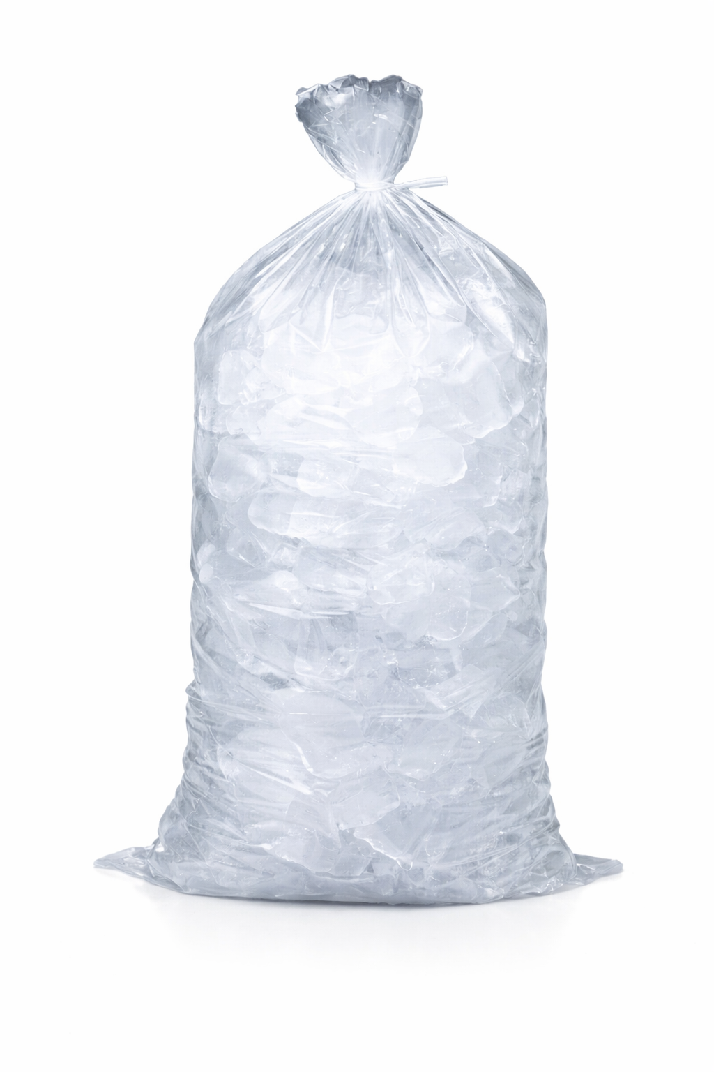Bolsa De Hielo Grande 20Lb
