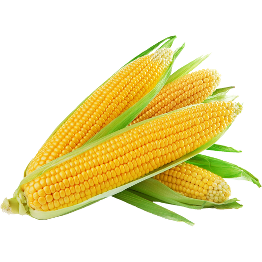 Corn / Elote 12oz
