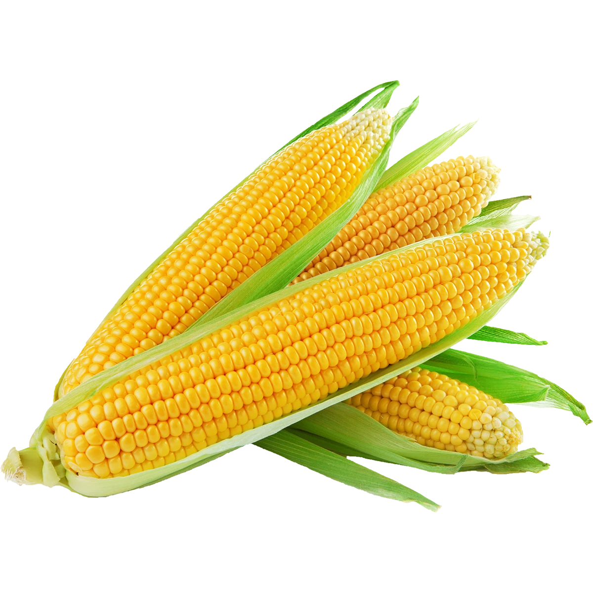 CORN / ELOTE 8oz